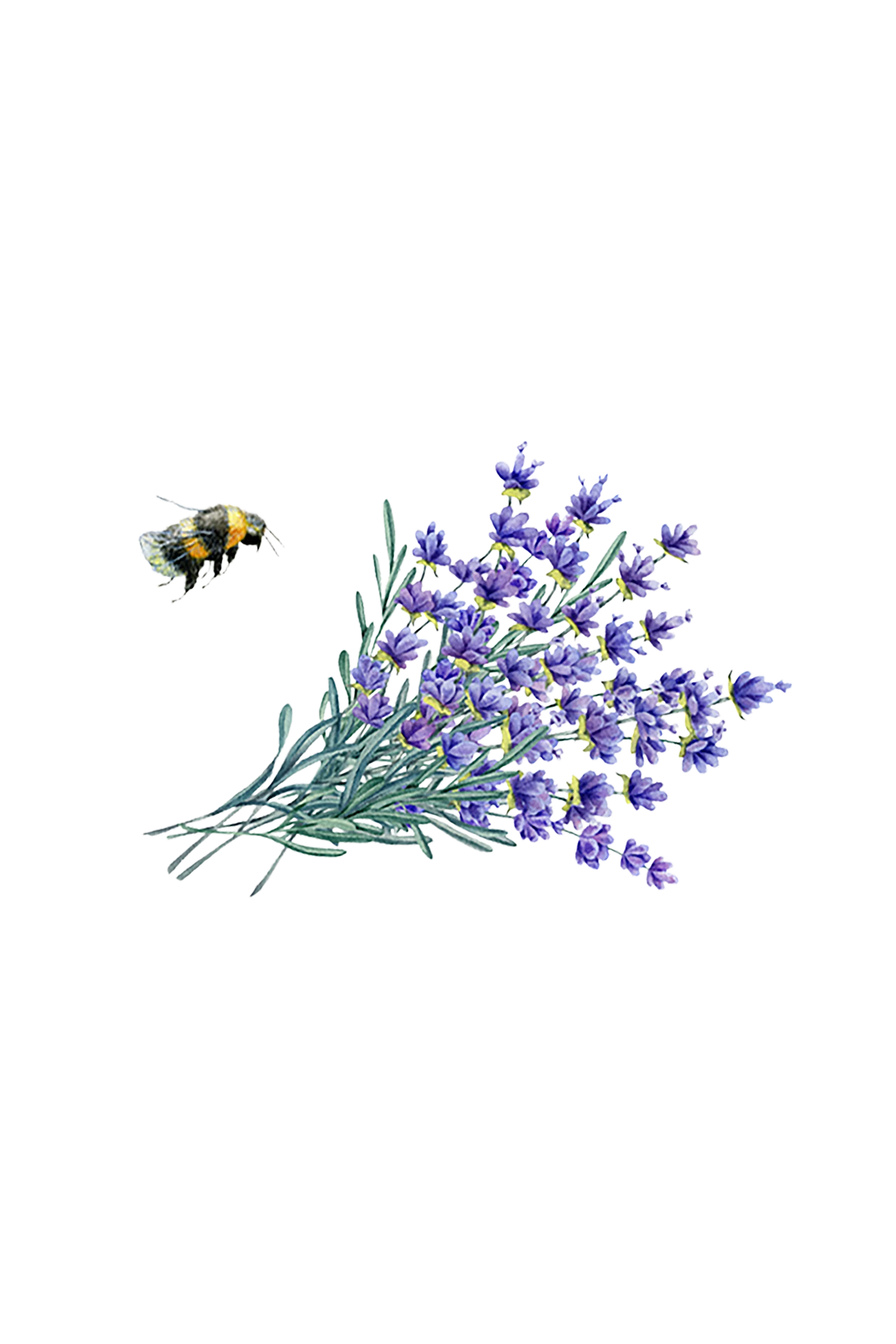 Linen Spray | Lavender - Image 2