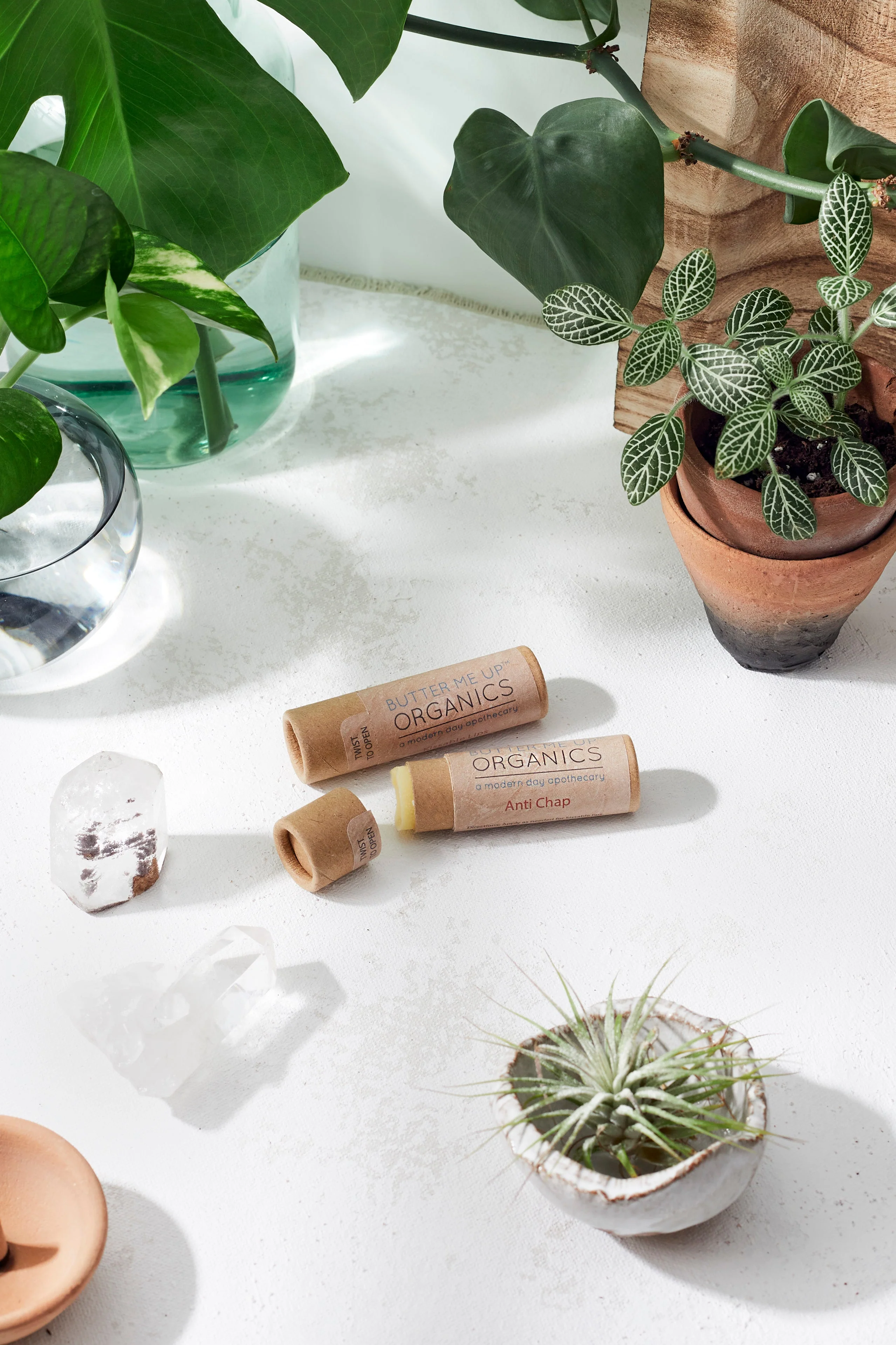 Organic Anti-Chap Lip Balm / Chapped Lips / Organic Lip Moisturizer / PAPERBOARD Tube - Image 5